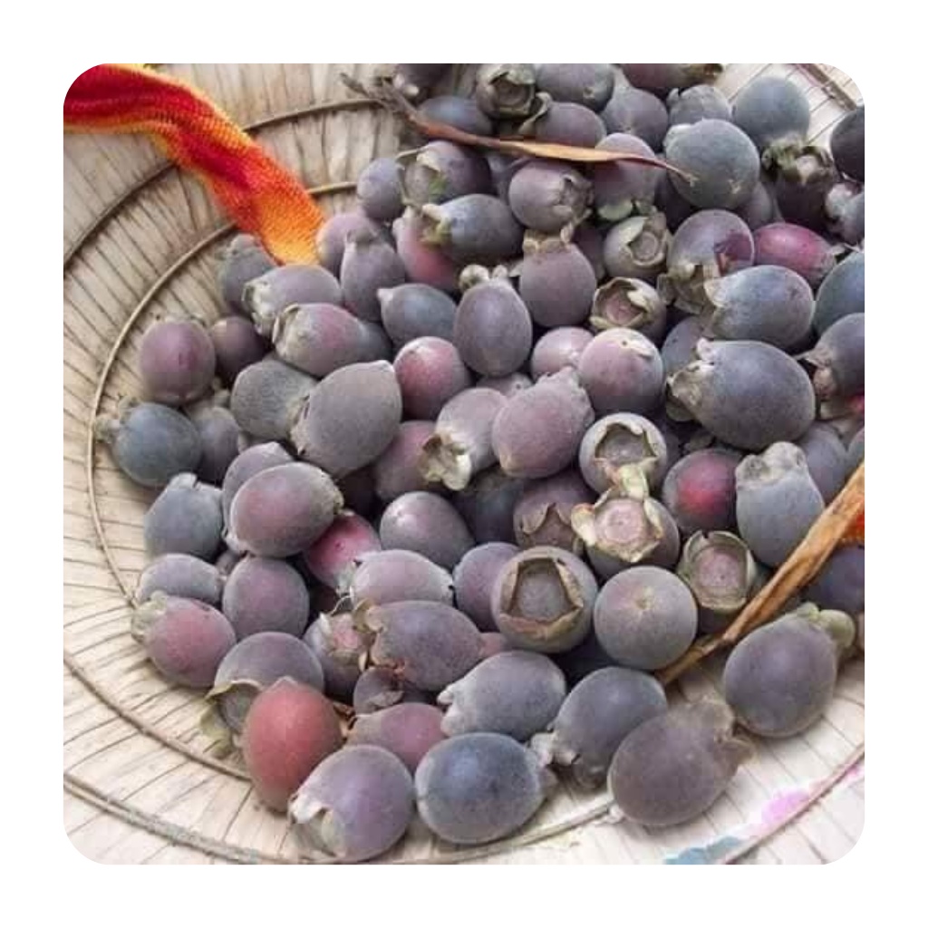 Sim rừng khô loại 1 hàng mới hỗ trợ hệ tiêu hoá, tăng cường sinh lý túi 1kg | BigBuy360 - bigbuy360.vn