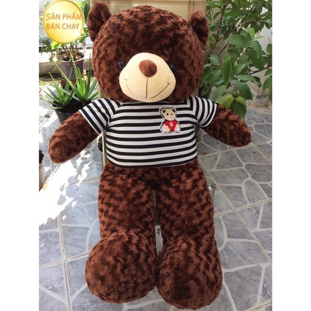 Gấu bông teddy hàng xuất khẩu Sheen bedding khổ 1m2 cao 1m