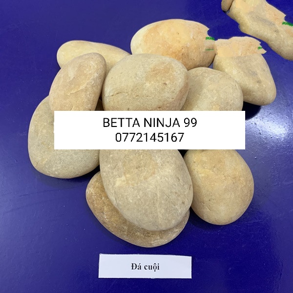 Nhiều màu - Nhiều size ] Đá sỏi trang trí sân vườn , hồ cá, HỒ THỦY SINH, BỂ CÁ