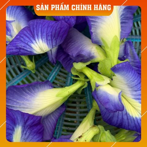 Trà hoa đậu biếc 100g giúp chống lão hóa, an thần, đẹp da