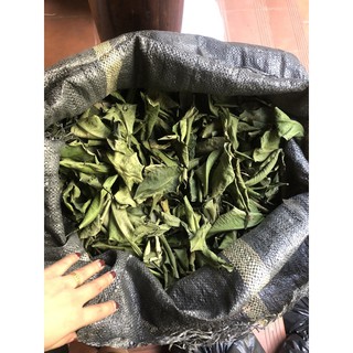 Lá Bưởi khô [1KG] Hàng sạch đẹp