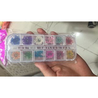 Hộp 12 màu hoa khô chùm đính móng 60 bông