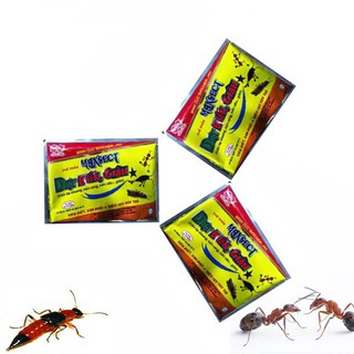 Bán kiến Maxsect - Combo 03 gói hàng nhập, phân phối trong nước bởi thietbinhavuon.