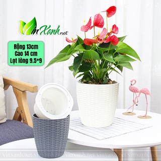 Chậu nhựa trồng cây TỰ TƯỚI tự dưỡng thông minh thủy sinh 2 lớp 13cm giả mây đan nhiều màu