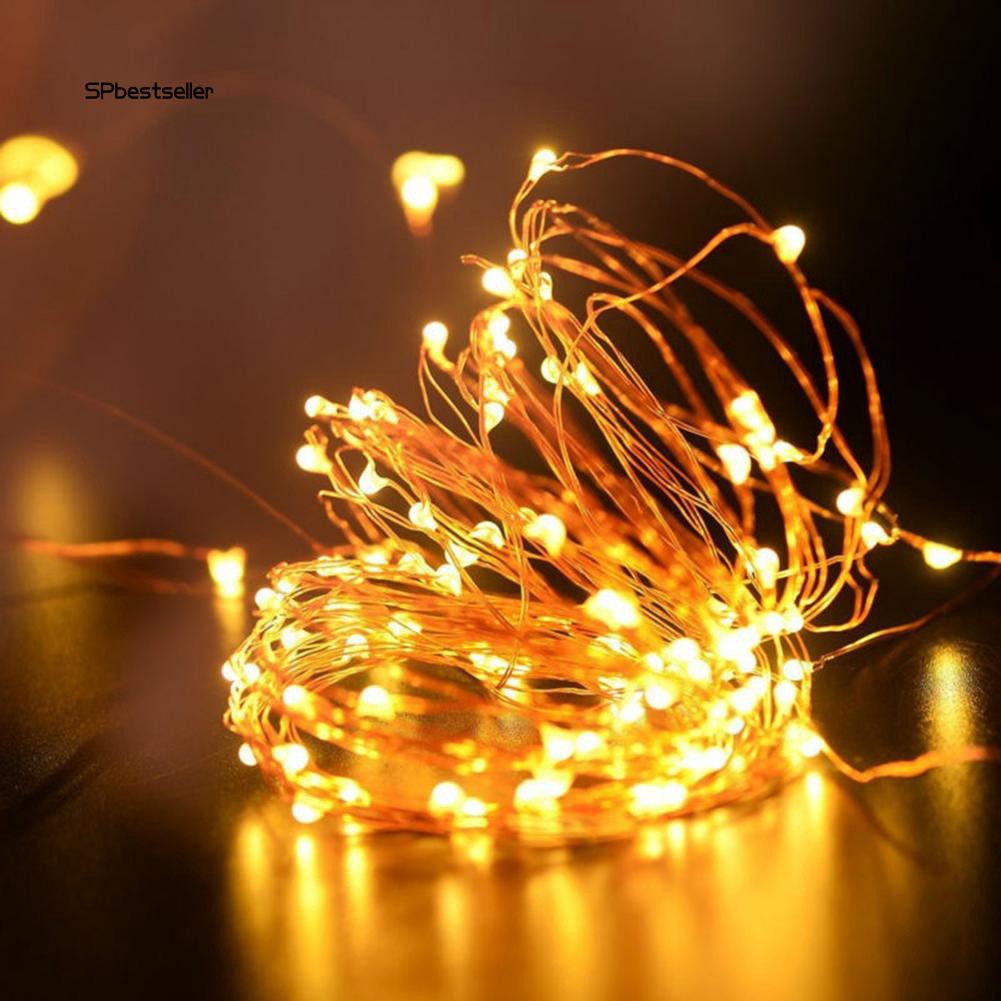 Dây đèn led phát sáng trang trí tiệc giáng sinh SPBS_5 / 10m USB