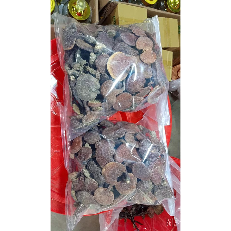 Nấm Lim Xanh Rừng ( Loại nhỏ ) 1kg