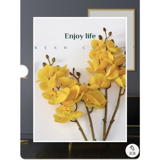 CÀNH LAN HỒ ĐIỆP 2 NHÁNH [Hoa lụa cao cấp Lachance ]