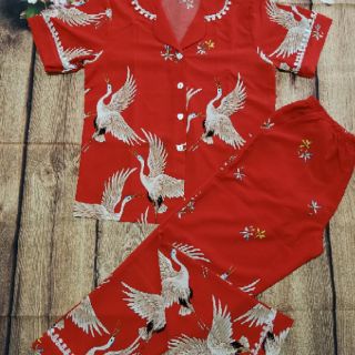 Combo 4 bộ satin lụa khách 60-70kg
