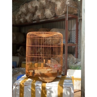 Bộ ráp choè lửa