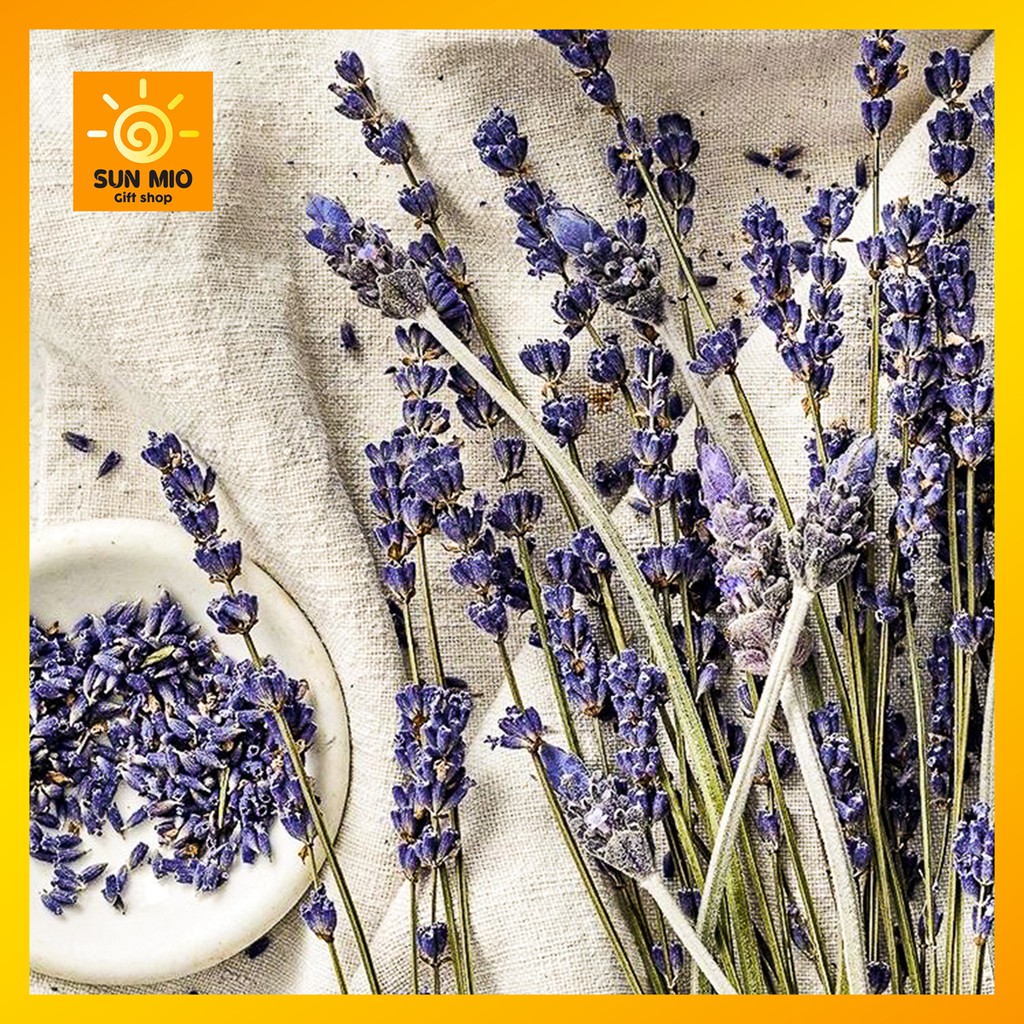 Hoa khô Lavender Pháp 250 cành (Hoa oải hương Pháp)