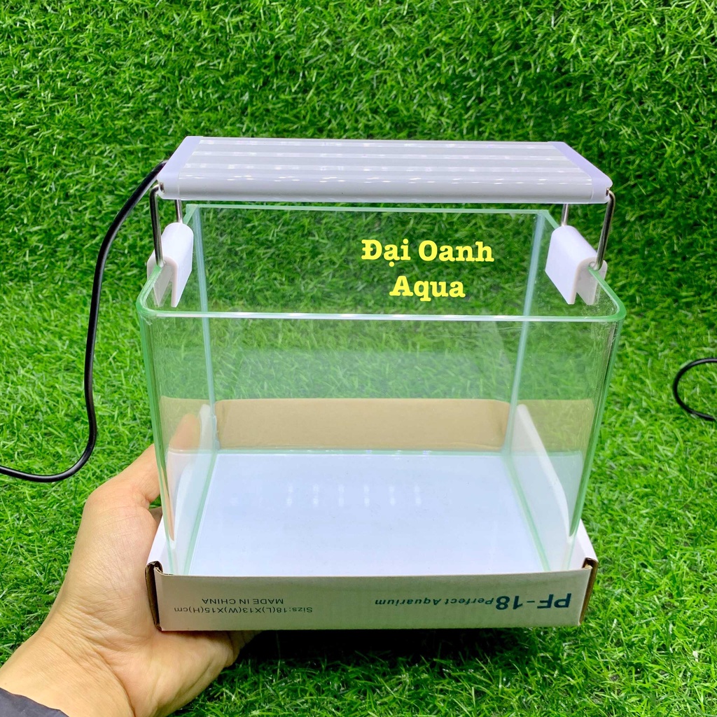 { RẺ VÔ ĐỐI } Bể Cá Kính Đúc 18cm Mini Để Bàn, Dài 18cm Rộng 13cm Cao 15cm-Bể Cá Cảnh Mini