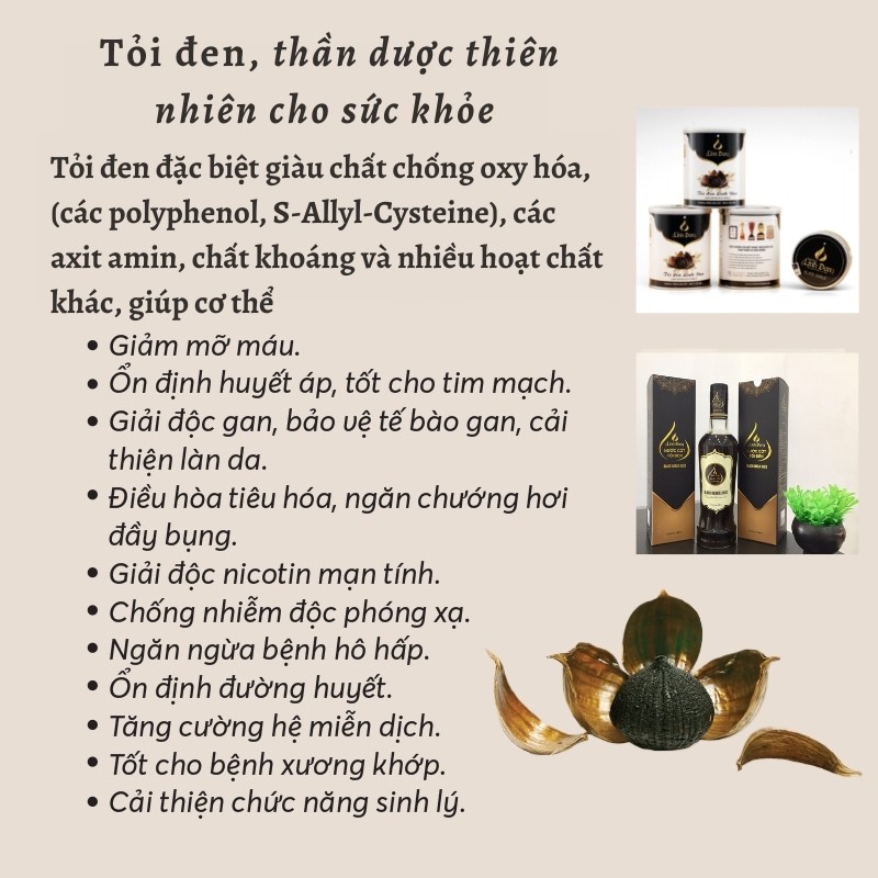 TỎI ĐEN CÔ ĐƠN ❤️ GÓI 500G LÊN MEN 60 NGÀY TĂNG ĐỀ KHÁNG DẺO NGỌT THƠM ❤️ | BigBuy360 - bigbuy360.vn