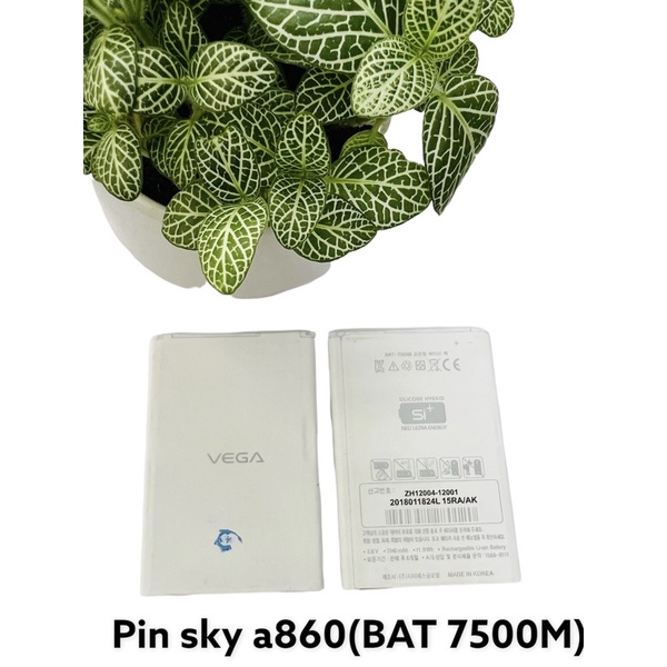 Pin sky a860