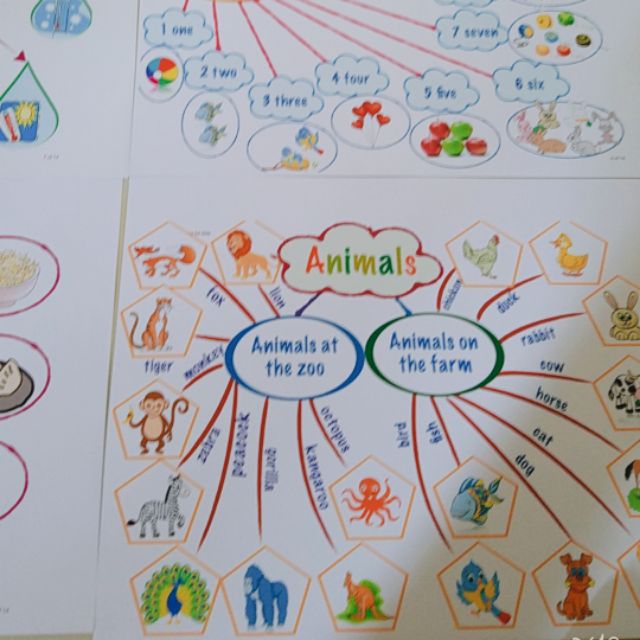 SET 11 mindmap