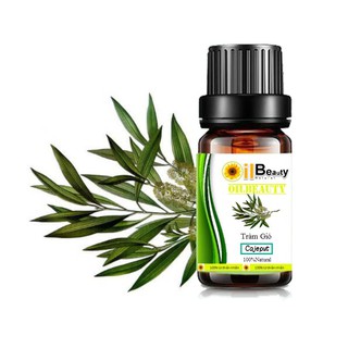 Tinh Dầu Tràm Gió Nguyên Chất Oilbeauty 10ml