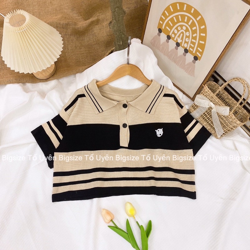 ( T.U Bigsize 50-80kg) Áo Croptop Polo Sọc Ngang Len Mongtoghi QC loại 1 #3001