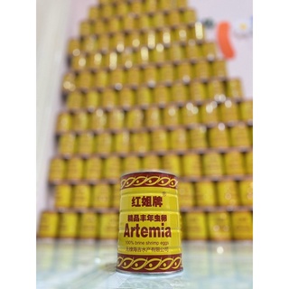 [Mã PET80K giảm 8% tối đa 80K đơn 350K] 🐠 Artemia Vàng Hot Trend 2022 Date Mới Nhất Bảo Hành Bao Đổi Trả.