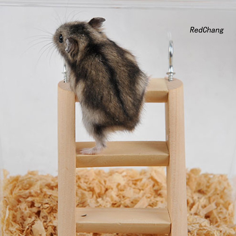 Đồ Chơi Thang Leo Trèo Bằng Gỗ Vui Nhộn Cho Chuột Hamster