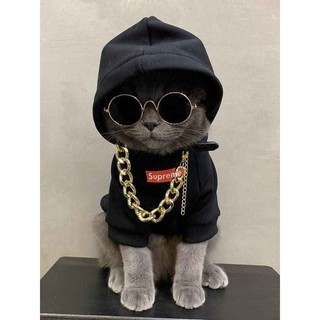 Mắt Kính Cute Cho Thú Cưng Chó Mèo