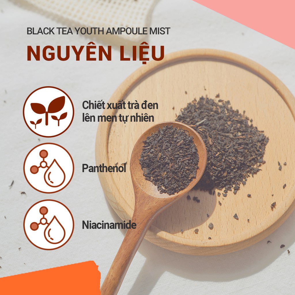 Xịt khoáng phục hồi da và chống lão hóa trà đen innisfree Black Tea Youth Enhancing Ampoule Mist 120ml