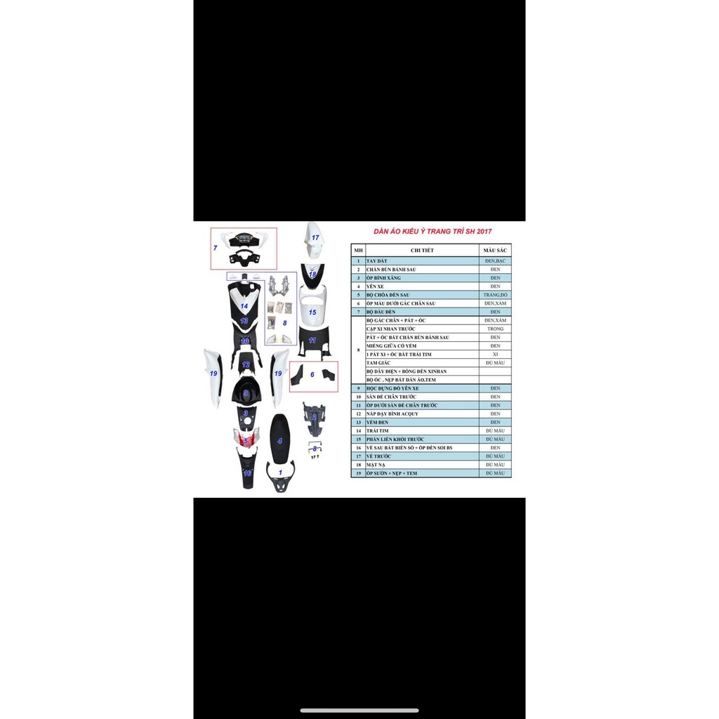 Dàn áo from Sh Ý full nguyên khối trang trí cho SHVN 2017 - 2019