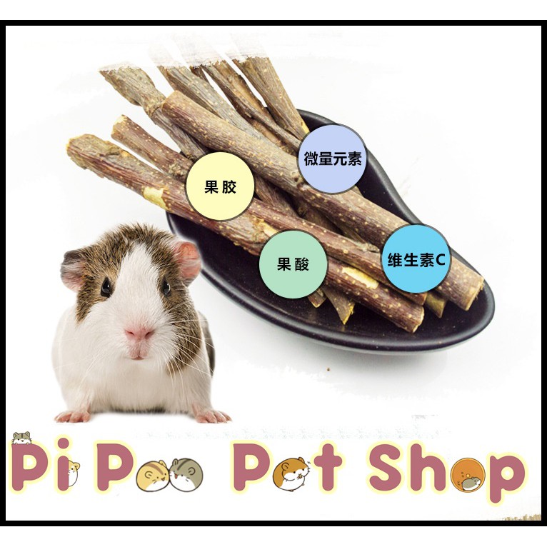 Cành táo mài răng cho Hamster, Thỏ , Bọ , Gerbil, Đuôi Mập, Chinchilla