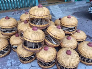 Lồng tròn dành cho cu gáy