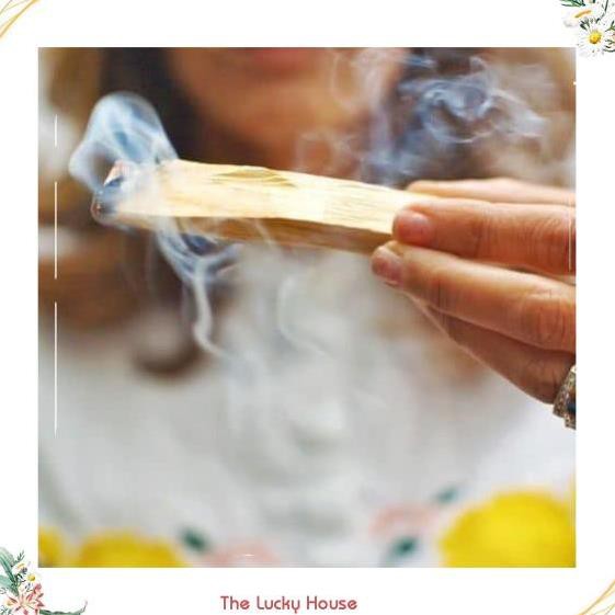 💟 GIÁ SIÊU TỐT💟 Gỗ Thánh Palo Santo dài 10cm - Thảo mộc xông nhà