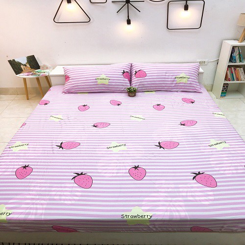 Bộ Ga trải Giường Cotton Đũi mát mùa hè cực thoáng mát, mềm mịn, nhiều màu sắc MỚI