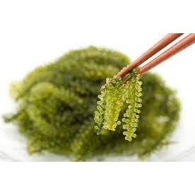 Rong nho tươi tách nước cao cấp100gr - chuẩn vùng biển Nha Trang giàu vitamin & khoáng chất - thương hiệu Genkai