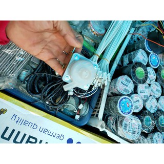 Mô tơ phích nước 12v