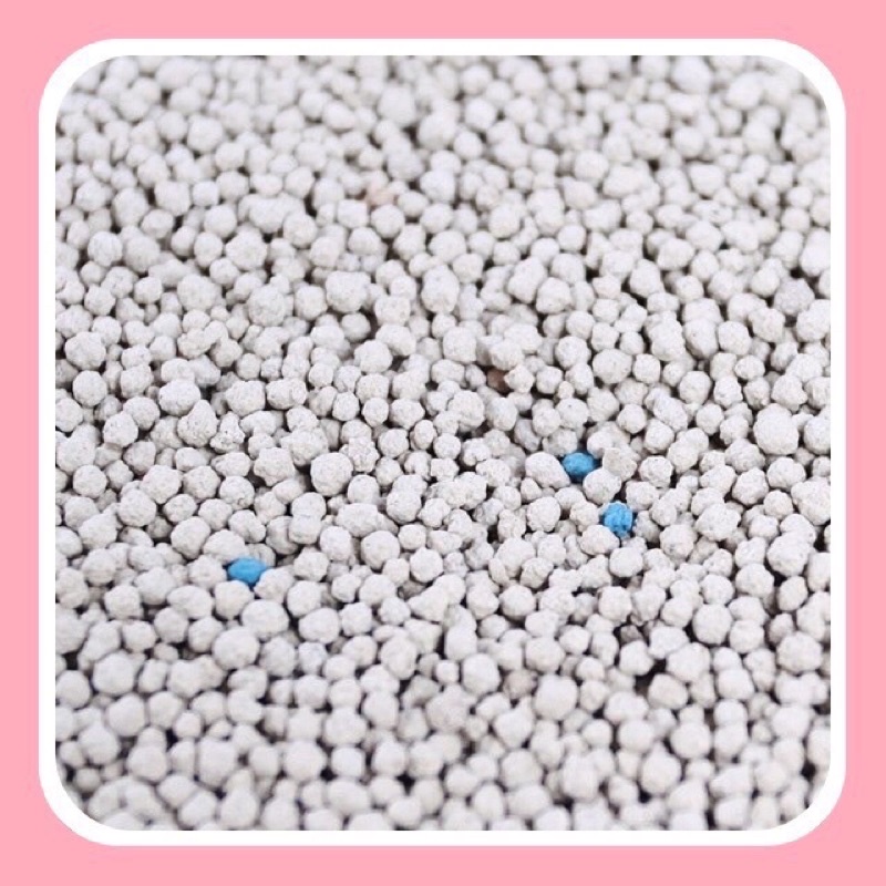 Cát vệ sinh cho mèo cát nhật Catsme