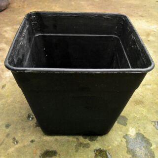 Chậu vuông 14cmx cao12cm