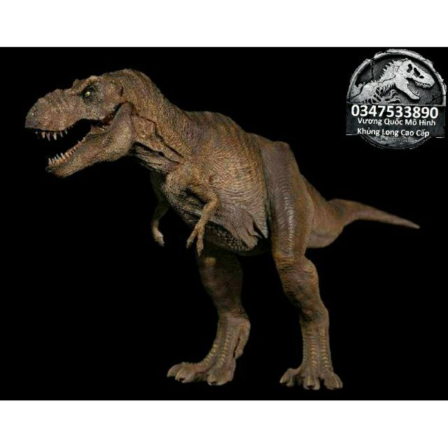 Mô hình khủng long T-Rex hãng W-Dragon