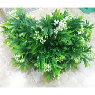 1 cụm cỏ điểm.