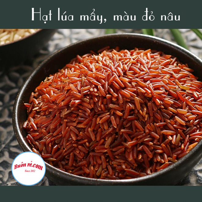 (1KG) Gạo lứt huyết rồng thơm ngon, dẻo mềm - Đặc sản Tây Bắc 01375