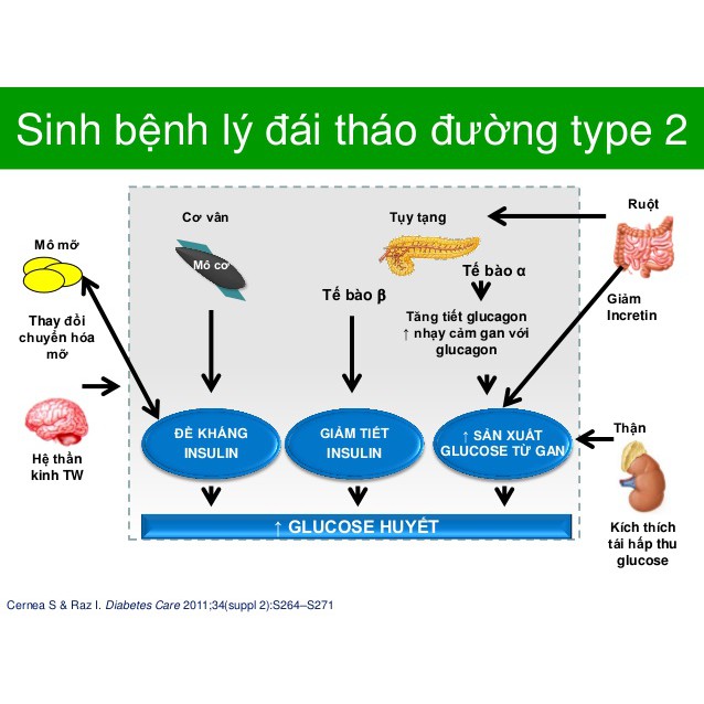 Cao tiểu đường- dây thìa canh Minh Nhi lọ 100gr