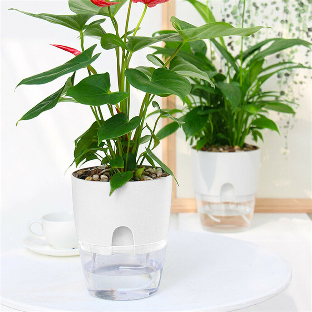 Chậu cây thủy canh 2 lớp tự tưới nước