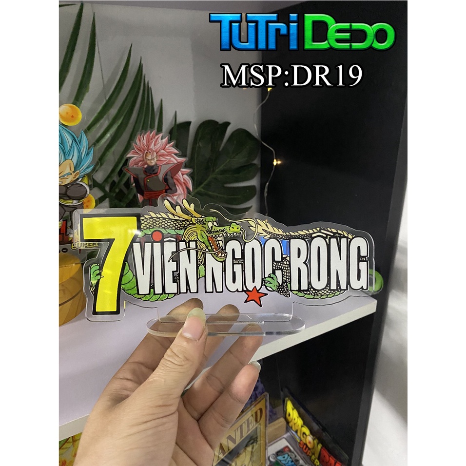 Logo Dragon Ball -One Piece.