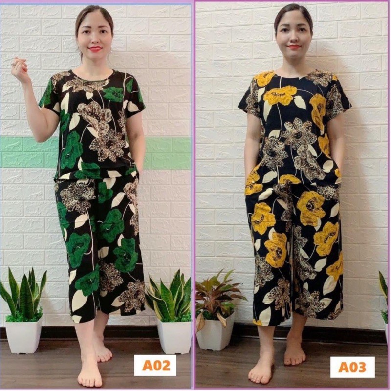 Bộ Lanh Đại Ống Sớ