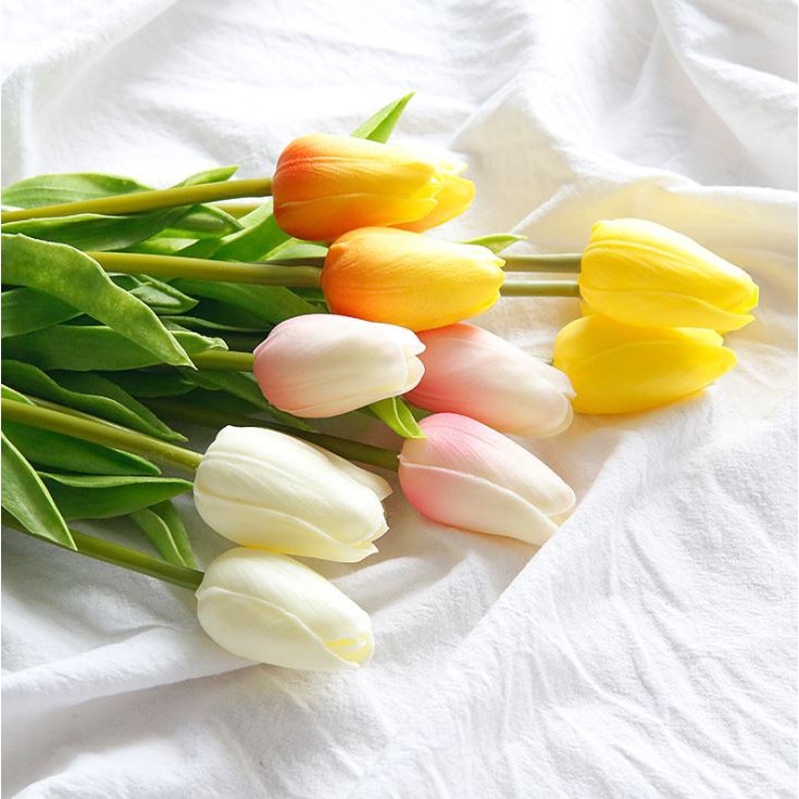 Hoa Tulip Hà Lan làm đạo cụ chụp ảnh sản phẩm - Shop28Decor.com