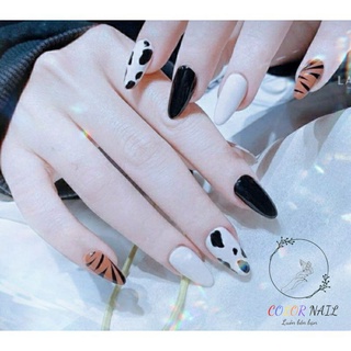 Nail box - Móng up thiết kế : 2 mẫu đơn giản