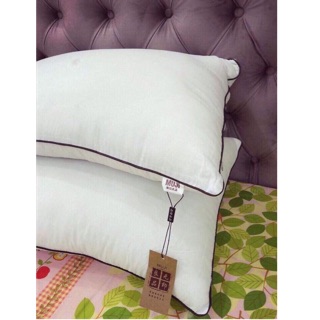 Ruột gối Muji xuất Nhật