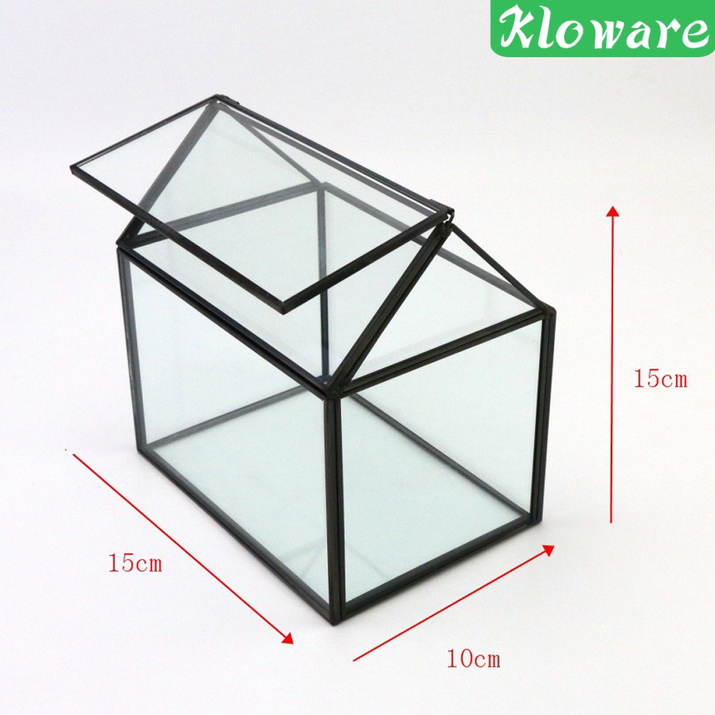 Chậu Trồng Cây Bằng Kính Thiết Kế Hình Học Độc Đáo