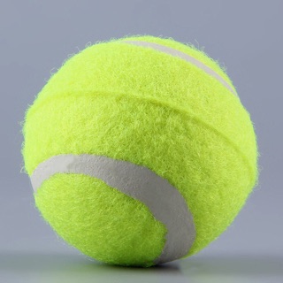 Bóng tennis đồ chơi cho thú cưng