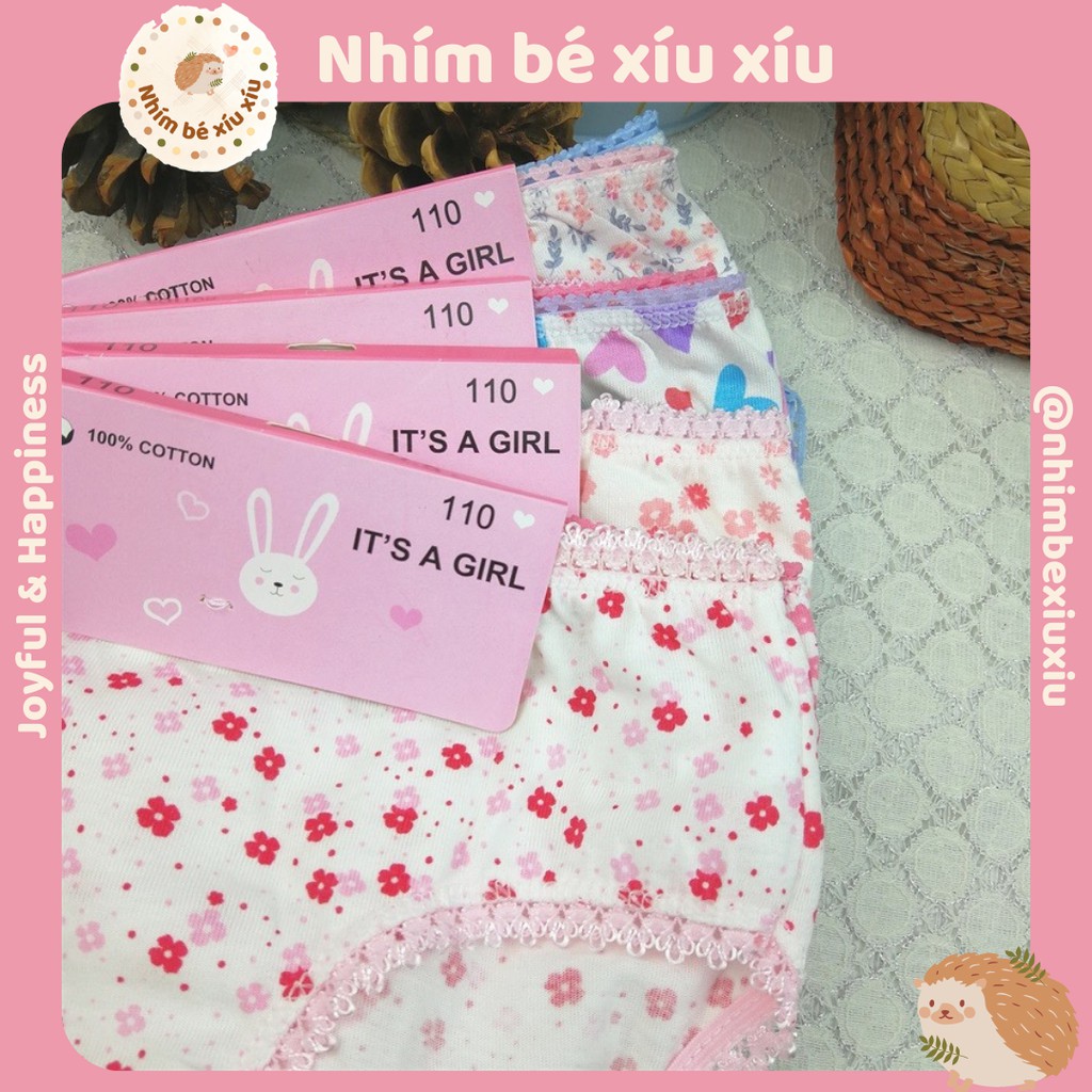 Quần lót cotton bé gái (7-35 kg) - Quần chip It's a girl VT91