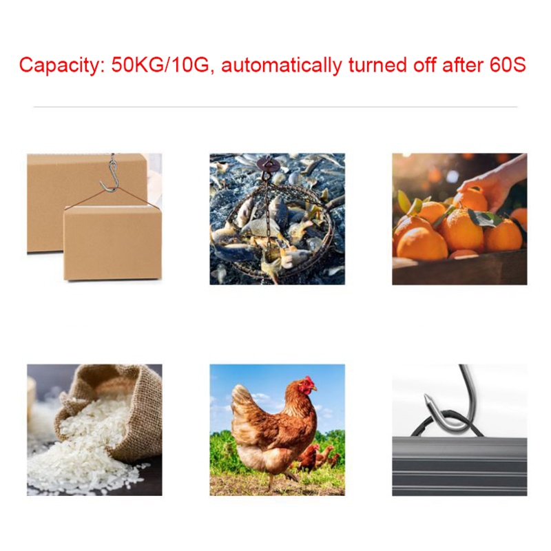 Cân Hành Lý Điện Tử Màn Hình LCD 50Kg 10g
