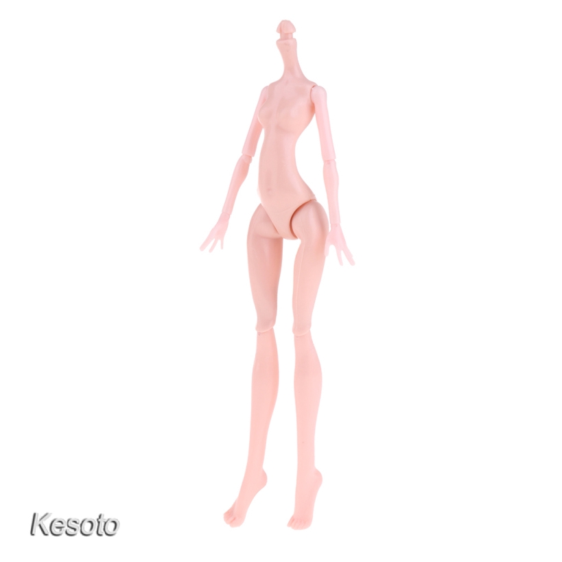 Mô Hình Cơ Thể Nữ Tỉ Lệ 1 / 6