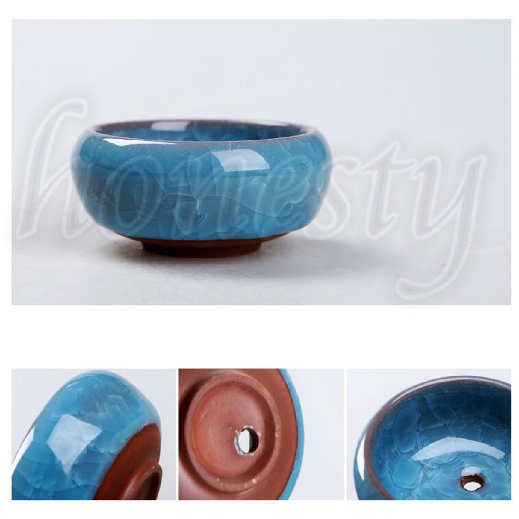 Chậu gốm tráng men nhỏ trồng cây mọng nước trang trí sân vườn