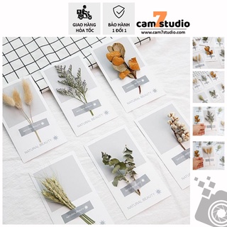 Thiệp Lá Khô, Hoa Khô decor chụp hình, trang trí chụp ảnh sản phẩm - Cam7Studio.com